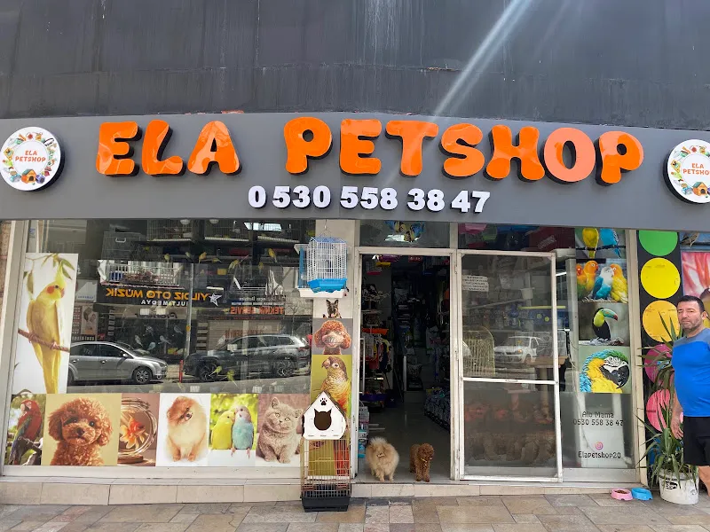Ela Petshop foto 1