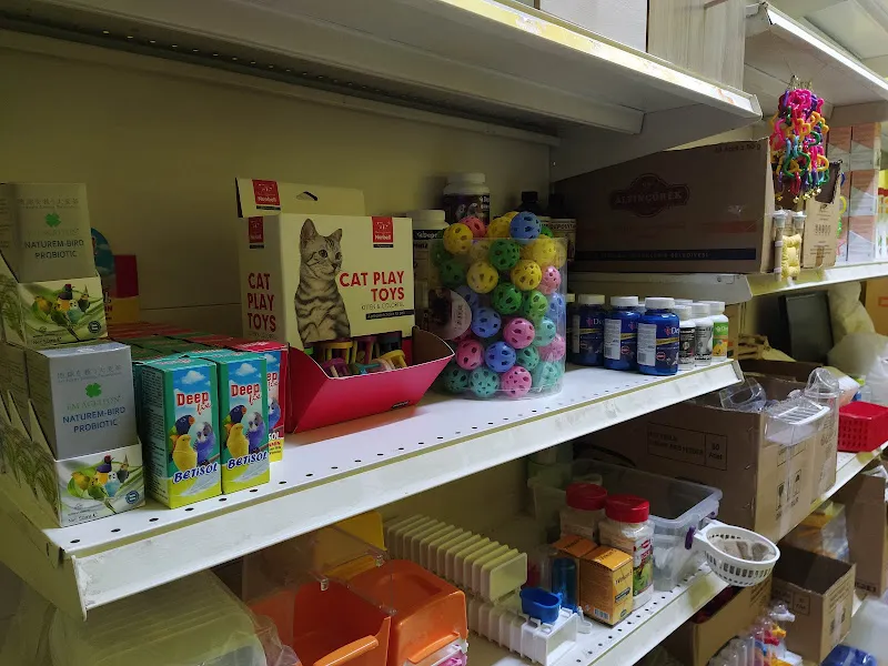 Hanımeli PetStore - Kuş, Kedi, Köpek, Kemirgen Aksesuarları ve Balık Galerisi (Ataşehir muhabbet kuşu, sultan papağanı) foto 1
