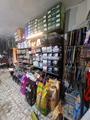 Rastgele Av Outdoor Aydınlık | Avcılık | Petshop | Arıcılık | Askeri Malzeme |