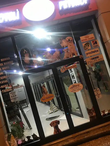 Çizmeli Kedi Petshop & Kedi Oteli - Kedi Pansiyonu foto 2