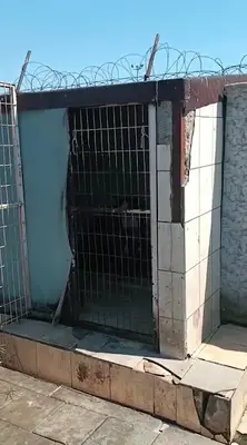 Zeytinburnu Belediyesi Hayvan Barınağı fotoğrafı