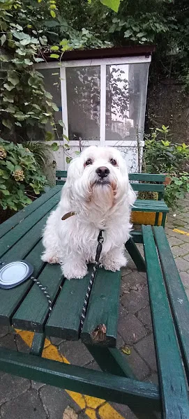 Kuzey Veteriner Kliniği foto 2