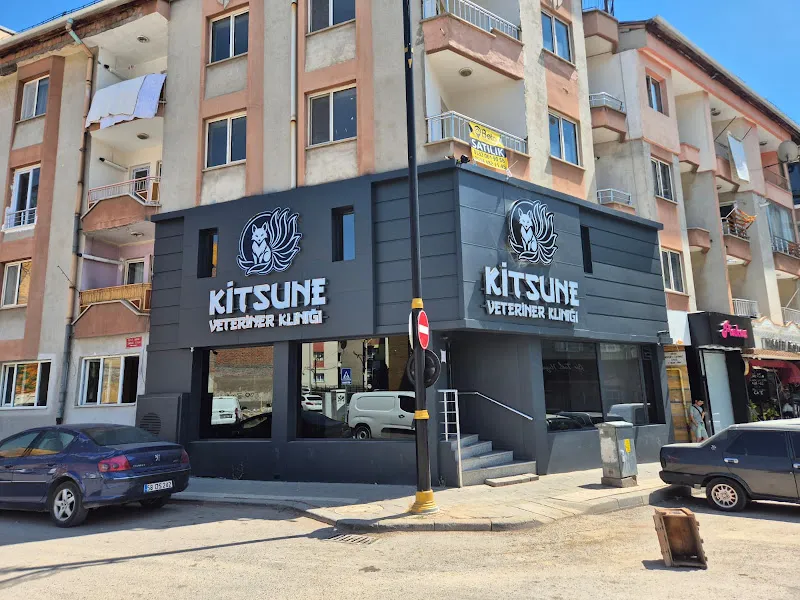 Kitsune Veteriner Kliniği foto 1