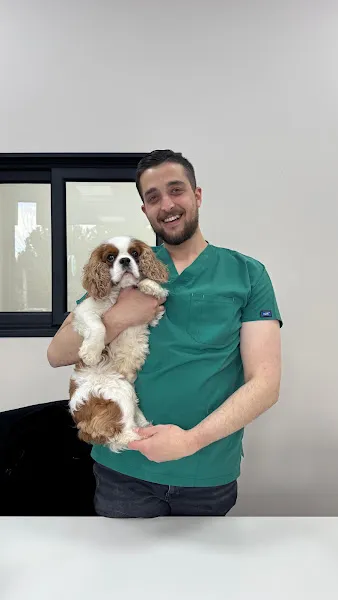 Veterium Veteriner Kliniği foto 2
