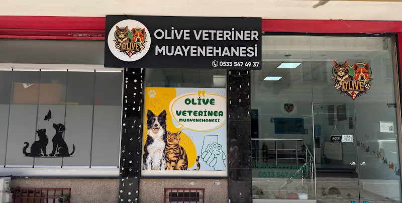 Olive Veteriner Kliniği Zeytinburnu foto 1