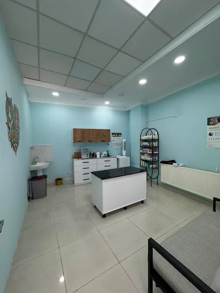 Olive Veteriner Kliniği Zeytinburnu foto 2