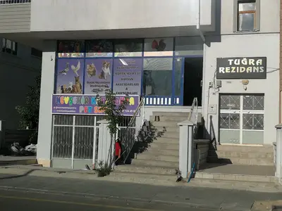 Nevşehir Kapodokya petshop