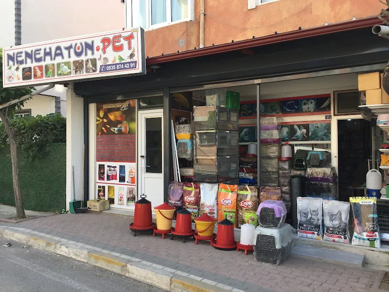 Nenehatun pet shop foto 1
