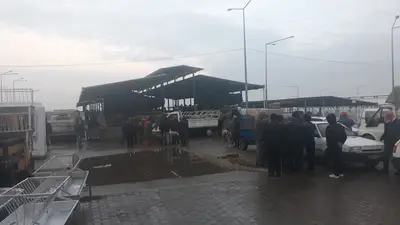 Akhisar Hayvan Pazarı