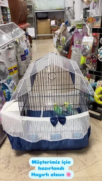 BUĞLEM PETSHOP 2 (BİLECİK/MERKEZ) foto 2