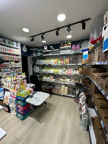 LİLYA PETSHOP-GAZİOSMANPAŞA foto 2