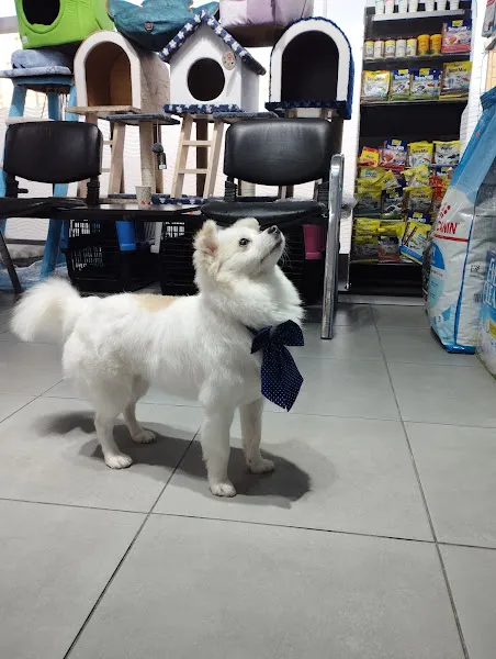 Tem Petshop Gaziosmanpaşa foto 1