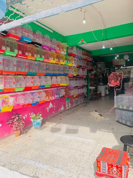 Melek petshop foto 2