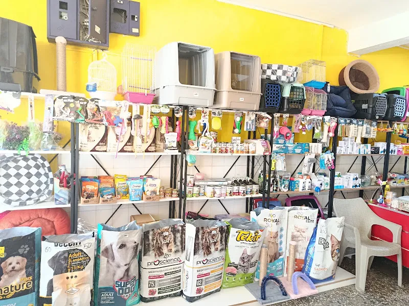 SAFİR PETSHOP foto 2