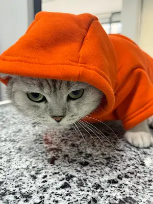 PET 75 VETERİNER KLİNİĞİ 7/24 ACİL HİZMETİ