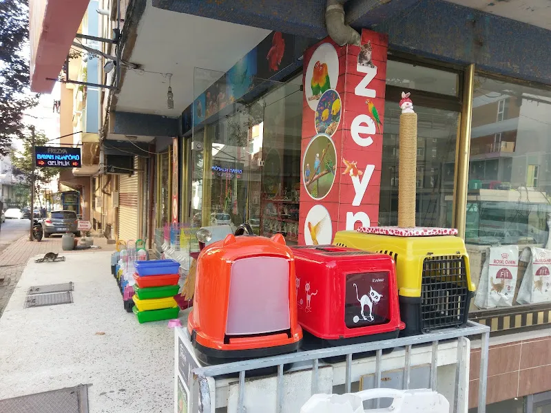 Zeynep Petshop foto 2
