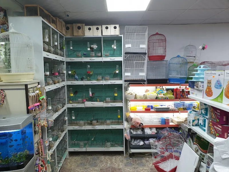PATİM Pet Market foto 2