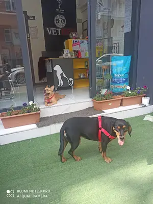 Vetred Veteriner Kliniği