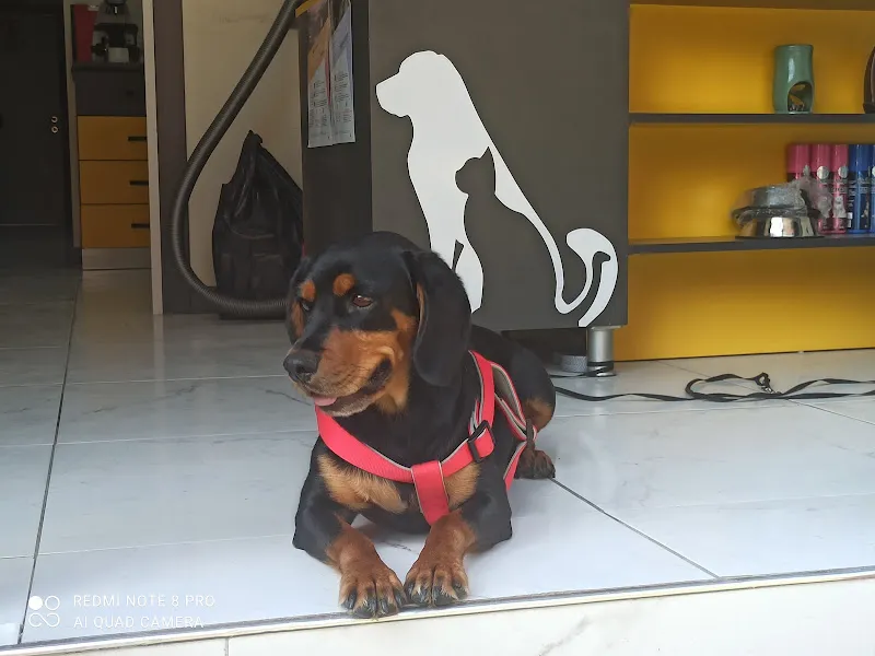 Vetred Veteriner Kliniği foto 2