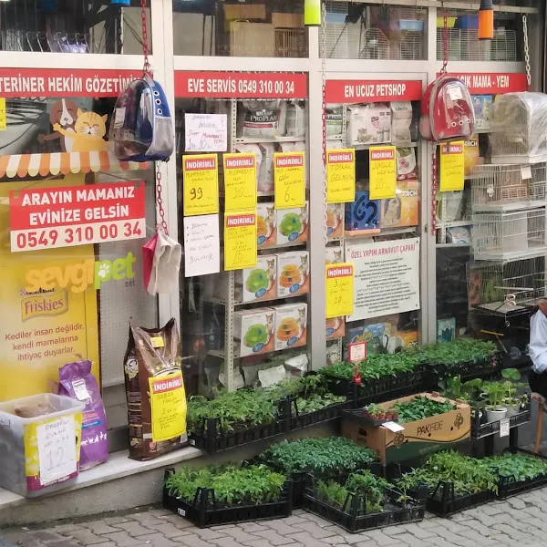 SEVGİ PETSHOP & OLTA MALZEMELERİ foto 2