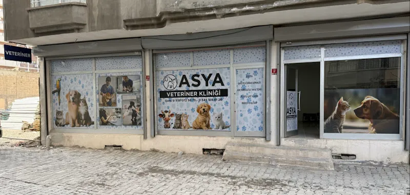 Cizre Veteriner foto 2