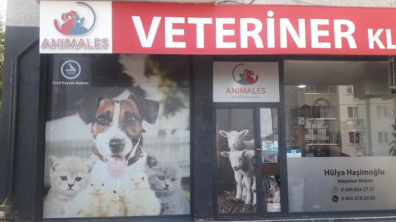 Animales Veteriner Kliniği foto 2