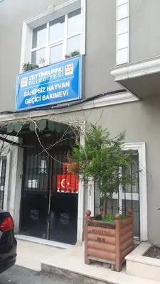 Sokak Hayvanları Rehabilite Ve Bakım Merkez