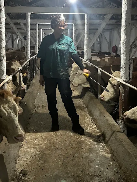 SARYAVET VETERİNER KLİNİĞİ foto 2
