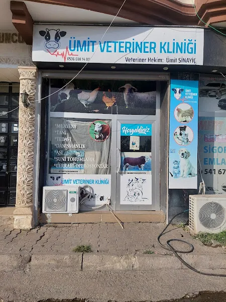 Ümit veteriner kliniği foto 1