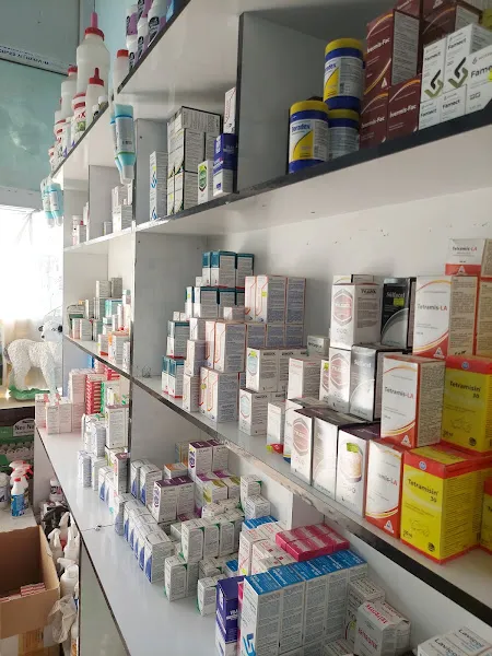 Ümit veteriner kliniği foto 2