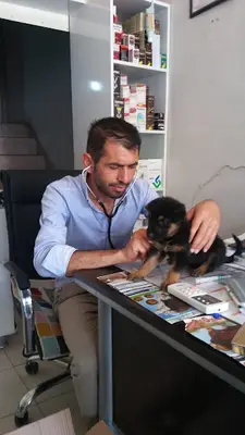 Öz Bizim Veteriner Kliniği
