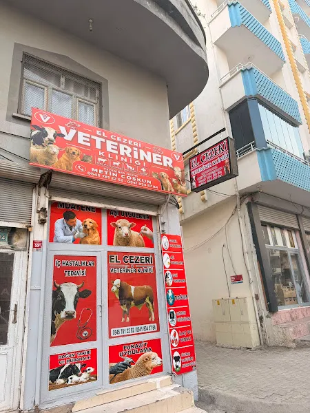 El CEZERİ VETERİNER KLİNİĞİ foto 2