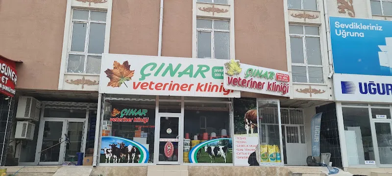 Çınar Veteriner Kliniği foto 2