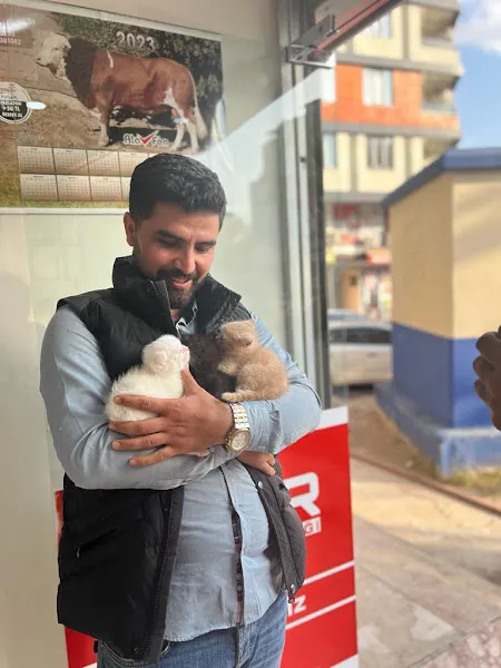 ADAR VETERİNER KLİNİĞİ foto 2