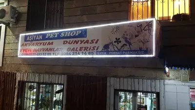 Aşiyan Akvaryum Pet Shop