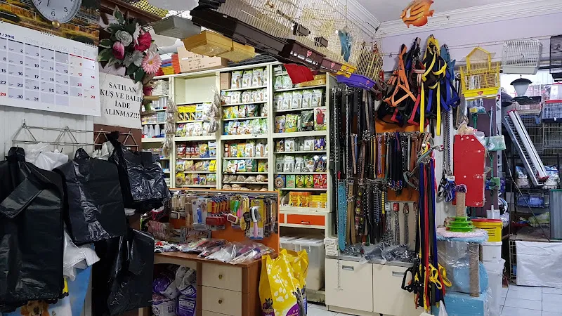 Aşiyan Akvaryum Pet Shop foto 2