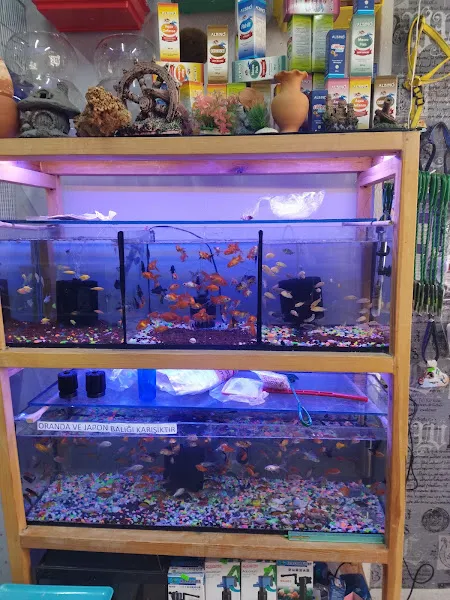 Asya Pet Shop TOPTANCI foto 2
