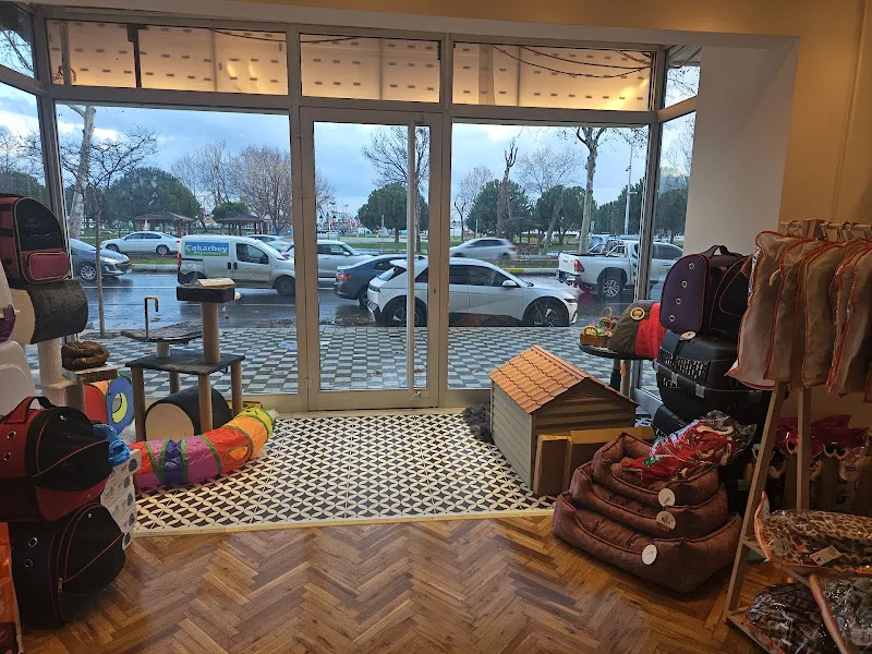 Zosi Boutique Petshop & Care foto 2