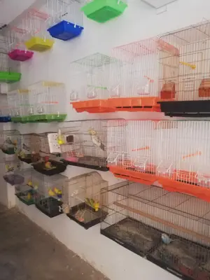 Sevgi pet Shop Kızıltepe
