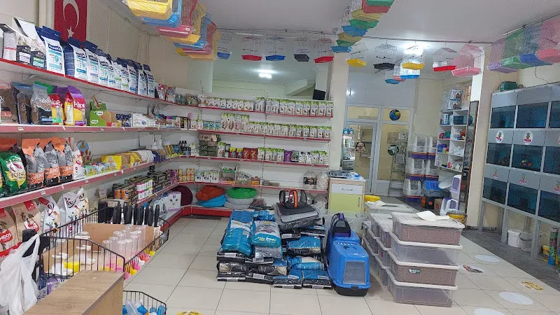 Melek Akvaryum foto 2