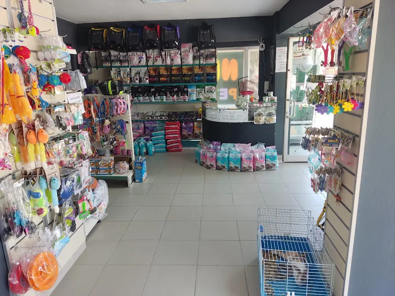 Nehir Pet&Kuaför Darıca foto 2