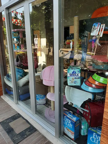 Bahçeşehir PetShop&PetKuaför foto 2
