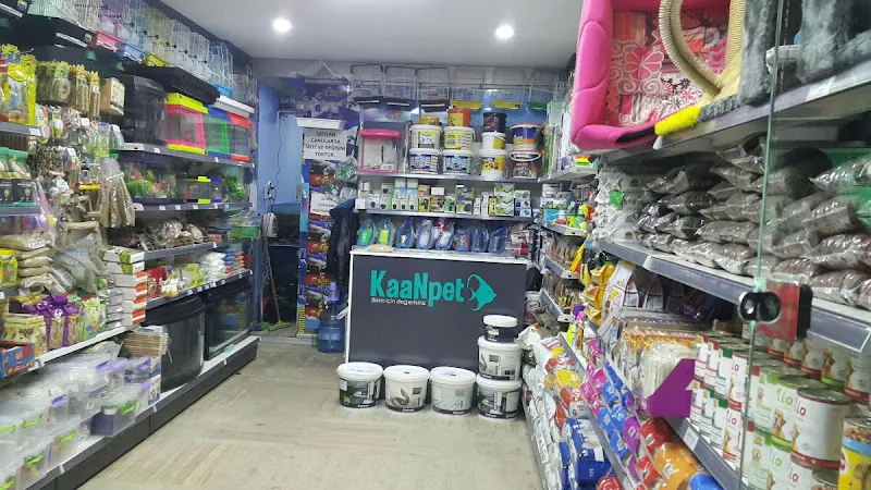KaaN pet shop foto 2