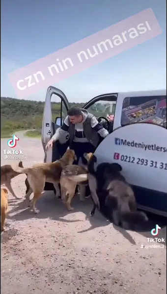 DBB-Hayvan Barınağı foto 2