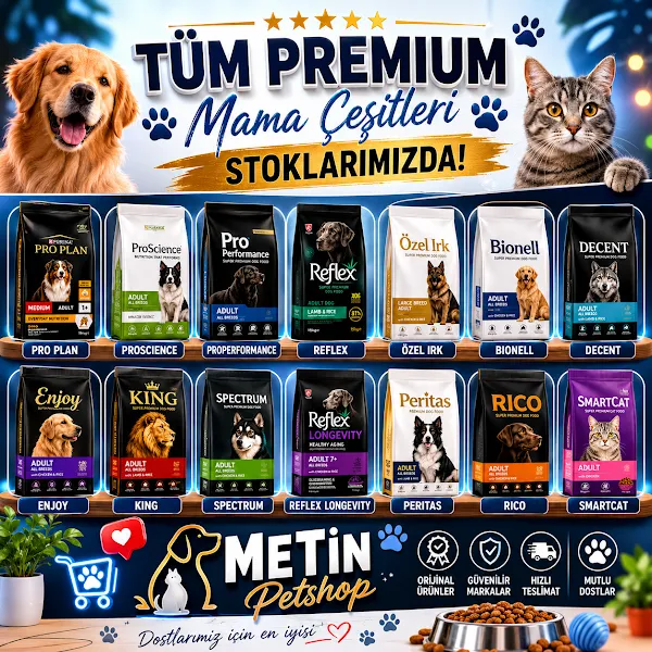 metin petshop foto 2