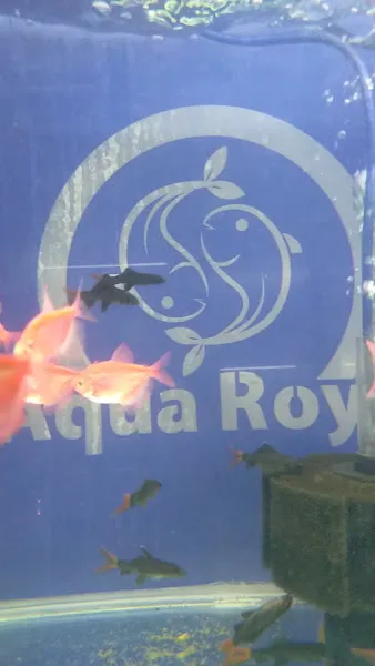 Aqua Royal Pet Shop foto 2