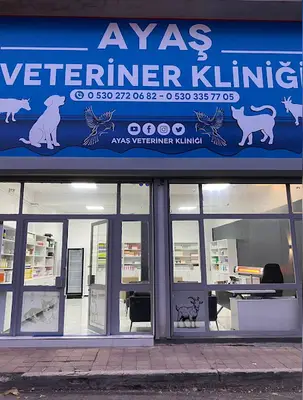 Ayaş Veteriner Kliniği
