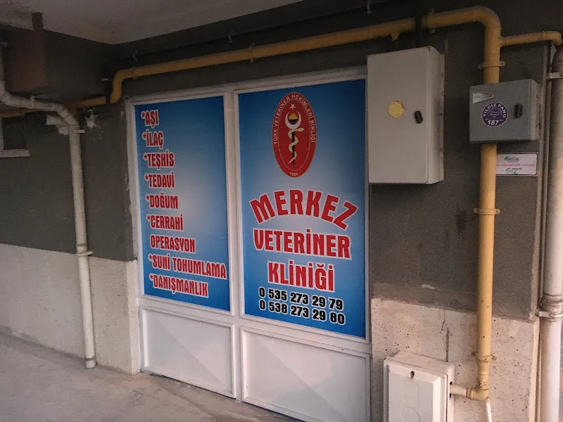 Merkez Veteriner Kliniği foto 2