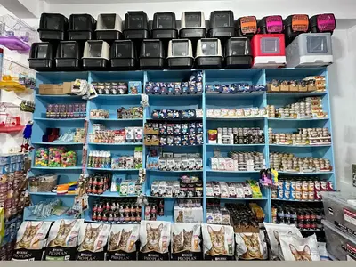İnci Petshop