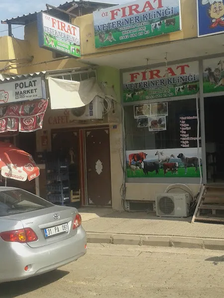Öz FIRAT Veteriner Kliniği MEHMET PAÇ foto 1